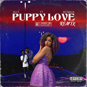 Puppy Love(Speed Up) (Remix)
