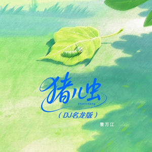 猪儿虫 (DJ名龙版伴奏)