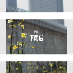 下雨后