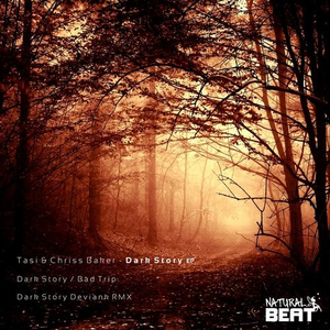 Dark Story (Original Mix)