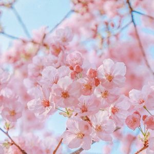 情歌 (Cover 梁静茹)