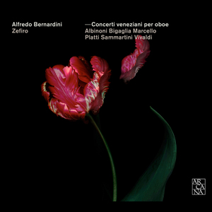 Oboe Concerto in B-Flat Major, Op. 7 No. 3: I. Allegro