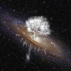 As Estrelas Sussurram em Meus Ouvidos