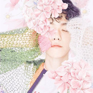 中意（翻自 백아연）