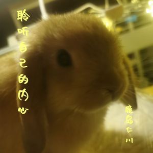 聆听自己的内心