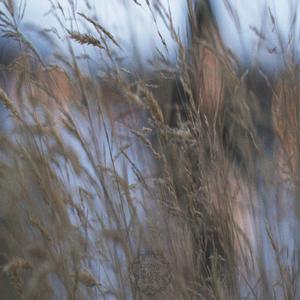 Lethargic (feat. With3r & Sg37)