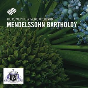 Violin Concerto In E Minor, Op. 64: I. Allegro molto appassionato
