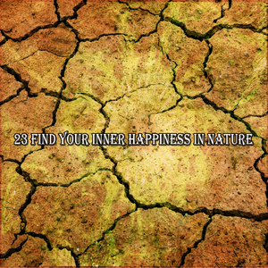 自然之声 自然音乐