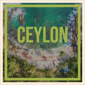 Comfotably Floyd 100 E