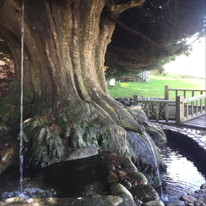 La Piscina (10.8 A).