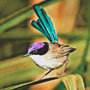 Gülümse Yarınlara