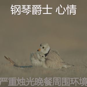 抚慰的约会之夜回忆