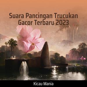 Suara Pancingan Trucukan Gacor Terbaru 2023