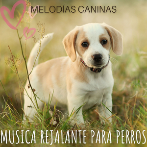 Melodía Curativa para Perros