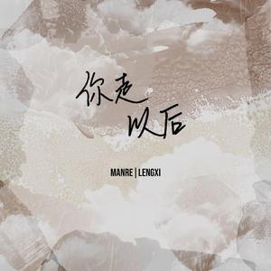 你走以后