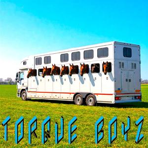 Hästtransport Fraktar Hästar Med Hästlastbil Volvo FL På Äventyr Eller Tävling