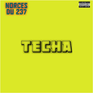 TECHA