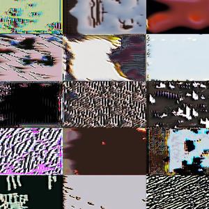 Quivering Nosy Bagged