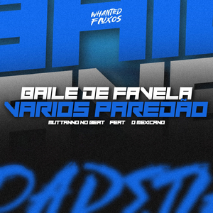 Baile de Favela E Vários Paredão