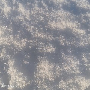 我喜欢上你时的内心活动