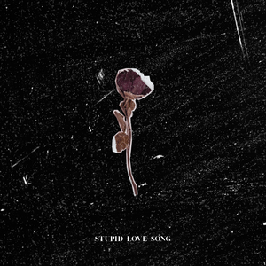 Stupid Love Song