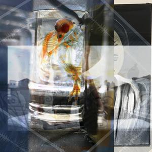 Baby Karrot (feat. Meicha & Ashyboi)