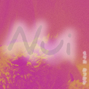 Nui (feat. 知声)