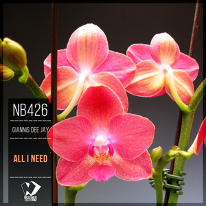 All I Need (Dub Mix)