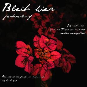 Bleib hier