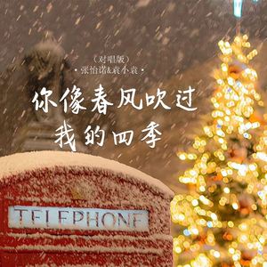 你像春风吹过我的四季 (对唱版伴奏)