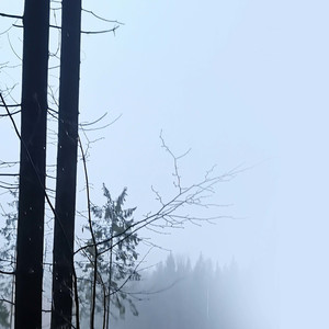 Собрались? Работаем!