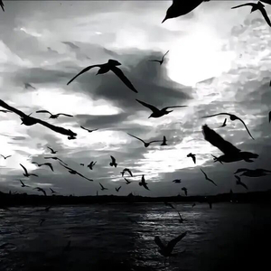没空
