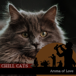 Your Mind is My Mind