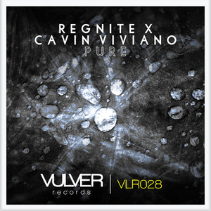 Pure (Original Mix)