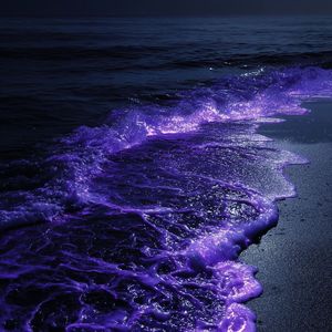 沦陷（英文版）