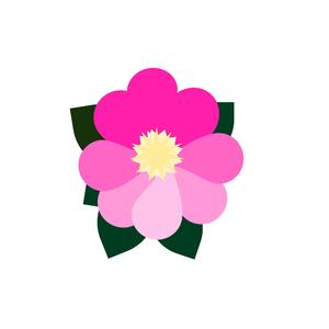 Oleander