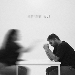 נפלה שתיקה