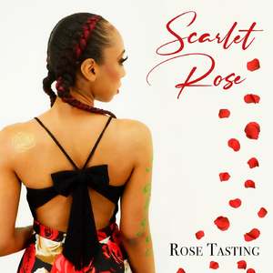 Fall Back (Jersey Club Remix) [feat. DJ Jayhood]