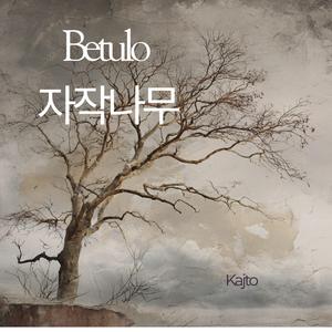 자작나무 (feat. 용흠)