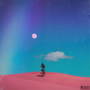 Fly To The Moon