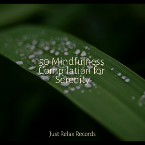 Whispers Through the Pines