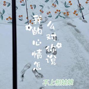 我的心情怎么对你说（prod.BECU BEATZ）
