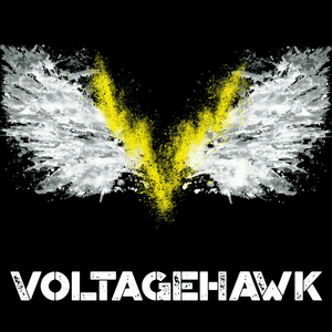 Voltage