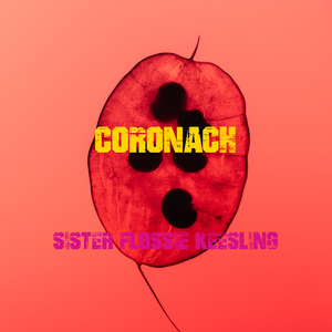 Coryphaeus