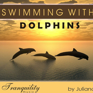 Swimming With Dolphins
