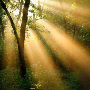 如果你还在就好了