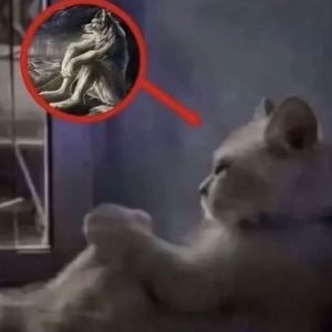 翻脸（Prod by 爆神 x Tzl）