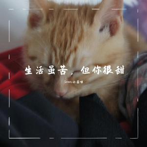 把烦恼扔进你的旧背包（中文填词）