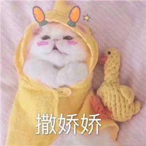 想你（翻自 吴亦凡）