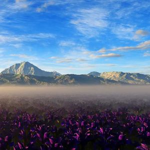 是否也曾留下 伴奏